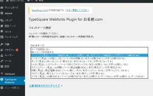 TypeSquare Webfonts Plugin for お名前.com設定